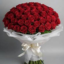 Букет 101 Красная роза Блэк Мэджик в Алупке