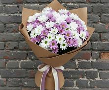 Букет цветов из:  Хризантемы #REPLACE_PRED# Алупке