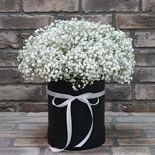 Цветочная композиция из Гипсофила в шляпной коробке в Алупке