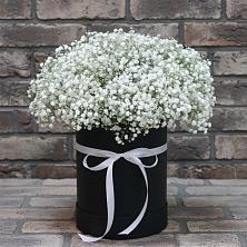 Цветочная композиция из Гипсофила в шляпной коробке в Алупке