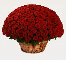 Премиум букет из: Розы в Алупке